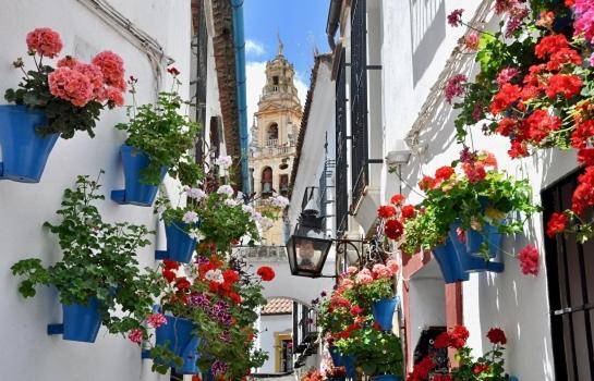 Апартаменты El Patio De Cruz Conde Кордова Экстерьер фото